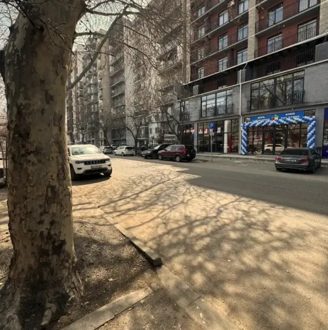 Office commercial space for rent in Nadzaladevi Tbilisi - photo 8