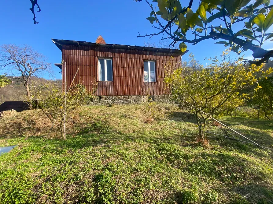 იყიდება მიწის ნაკვეთი 3500м² ქობულეთი - photo 2