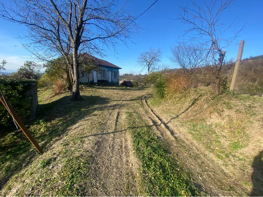 იყიდება მიწის ნაკვეთი 3500м² ქობულეთი - photo 6