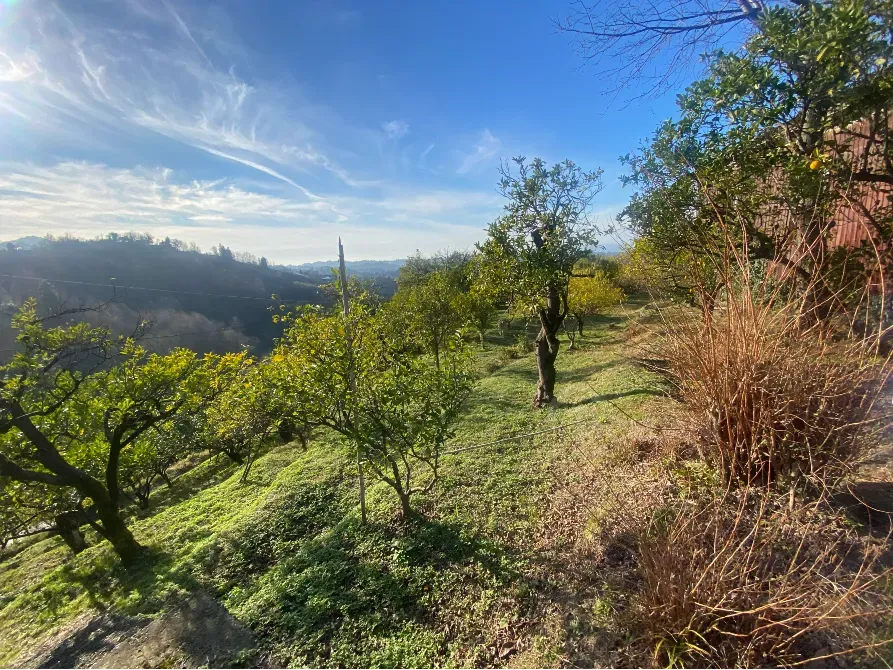 იყიდება მიწის ნაკვეთი 3500м² ქობულეთი - photo 7