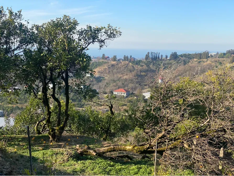 იყიდება მიწის ნაკვეთი 3500м² ქობულეთი - photo 1