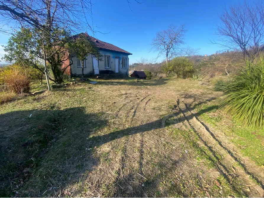 იყიდება მიწის ნაკვეთი 3500м² ქობულეთი - photo 4