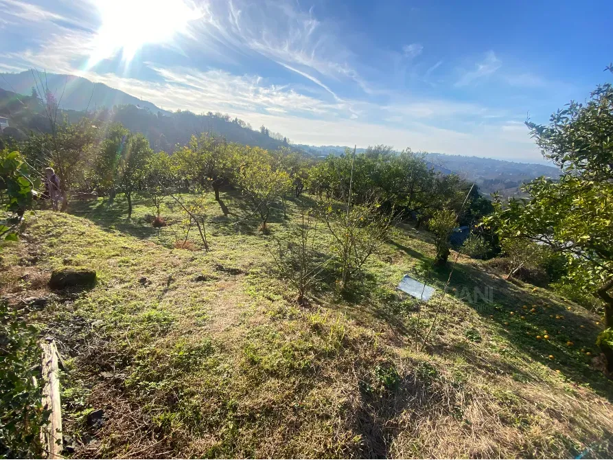 იყიდება მიწის ნაკვეთი 3500м² ქობულეთი - photo 3