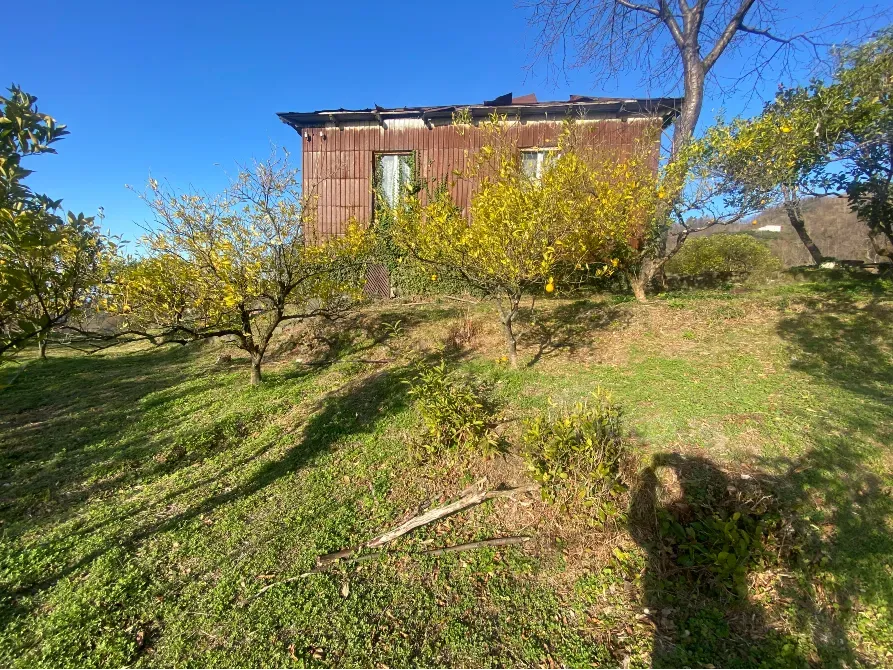 იყიდება მიწის ნაკვეთი 3500м² ქობულეთი - photo 8