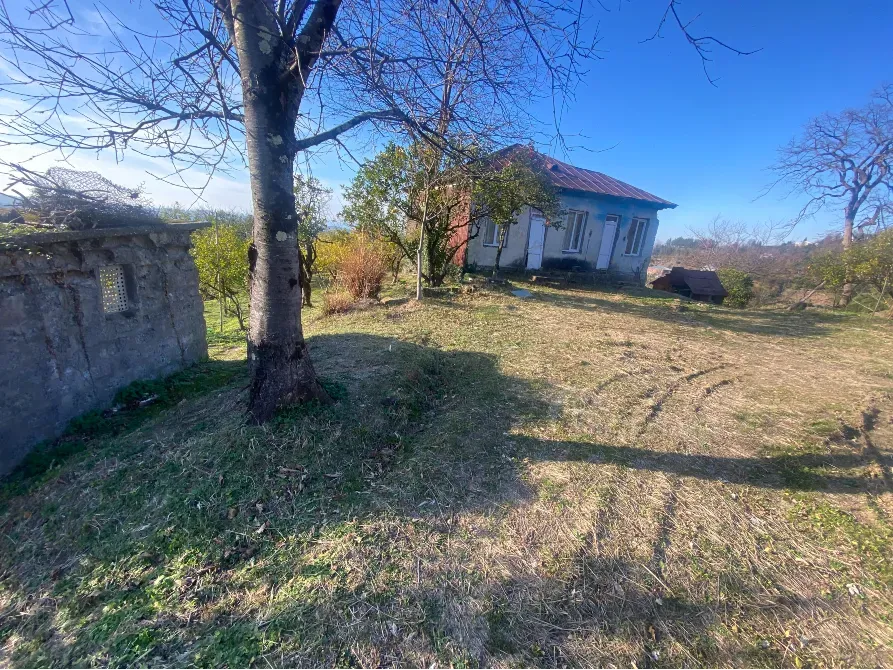 იყიდება მიწის ნაკვეთი 3500м² ქობულეთი - photo 5