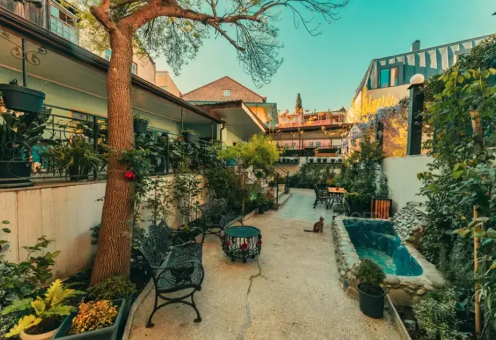 Universal commercial space for rent in Sololaki Tbilisi - photo 10