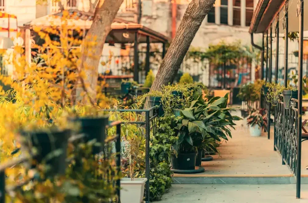 Universal commercial space for rent in Sololaki Tbilisi - photo 7