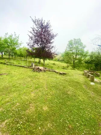 Продам земельный участок 3300м² Kobuleti - photo 2
