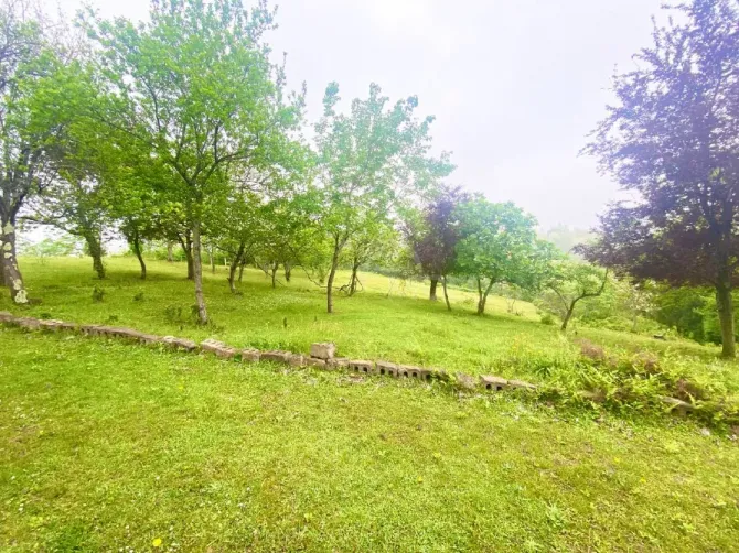 Продам земельный участок 3300м² Kobuleti - photo 1