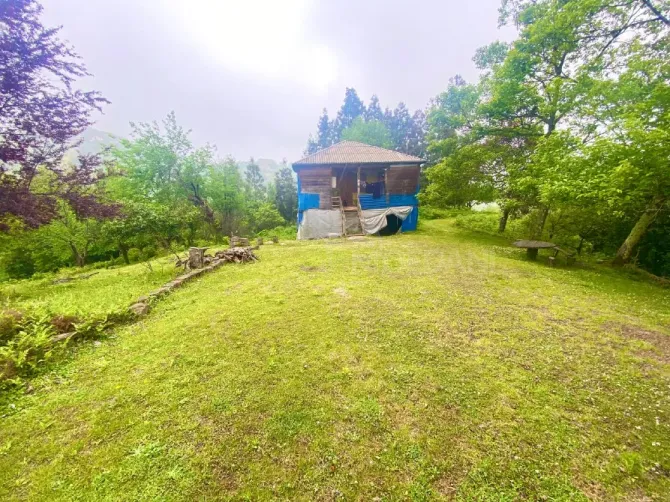 Продам земельный участок 3300м² Kobuleti - photo 8