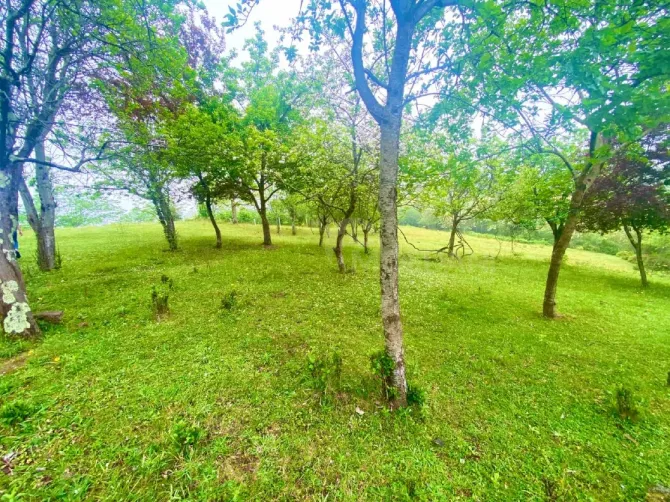 Продам земельный участок 3300м² Kobuleti - photo 6