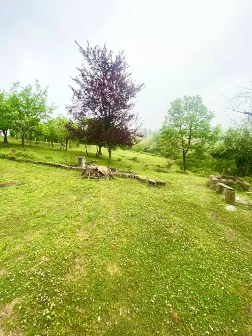 იყიდება მიწის ნაკვეთი 3300м² ქობულეთი - photo 2