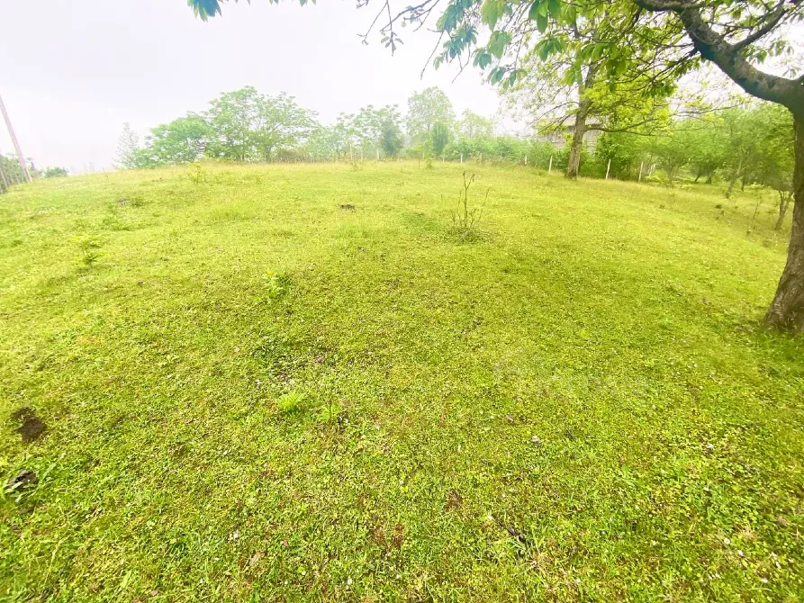 იყიდება მიწის ნაკვეთი 3300м² ქობულეთი - photo 4