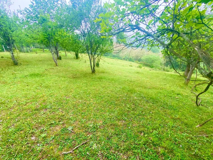 იყიდება მიწის ნაკვეთი 3300м² ქობულეთი - photo 3