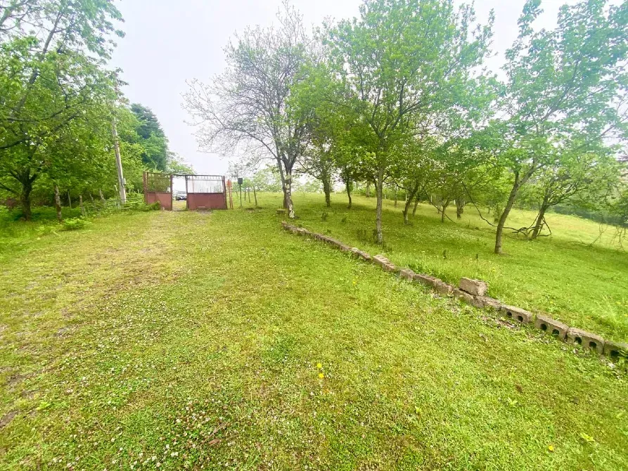 იყიდება მიწის ნაკვეთი 3300м² ქობულეთი - photo 7