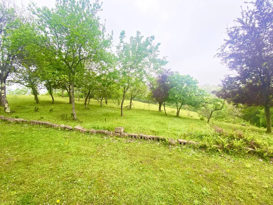 იყიდება მიწის ნაკვეთი 3300м² ქობულეთი - photo 1