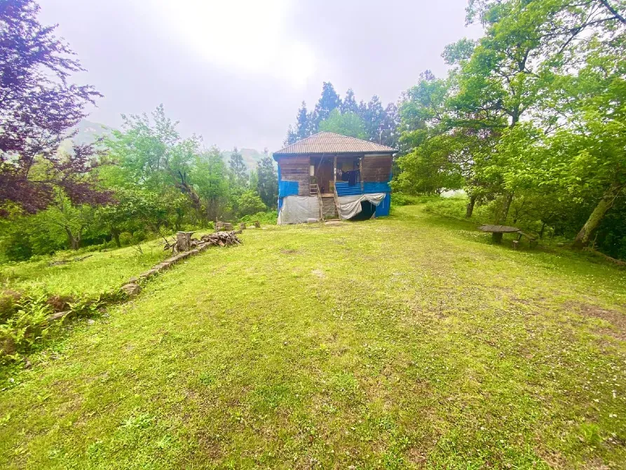 იყიდება მიწის ნაკვეთი 3300м² ქობულეთი - photo 8