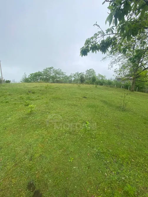 იყიდება მიწის ნაკვეთი 3300м² ქობულეთი - photo 10