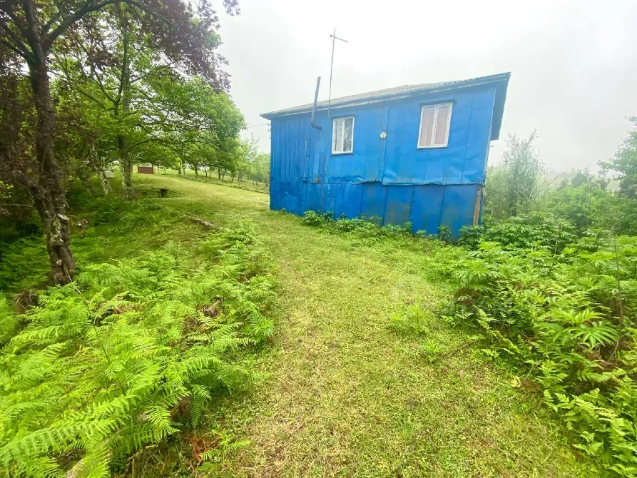 იყიდება მიწის ნაკვეთი 3300м² ქობულეთი - photo 5