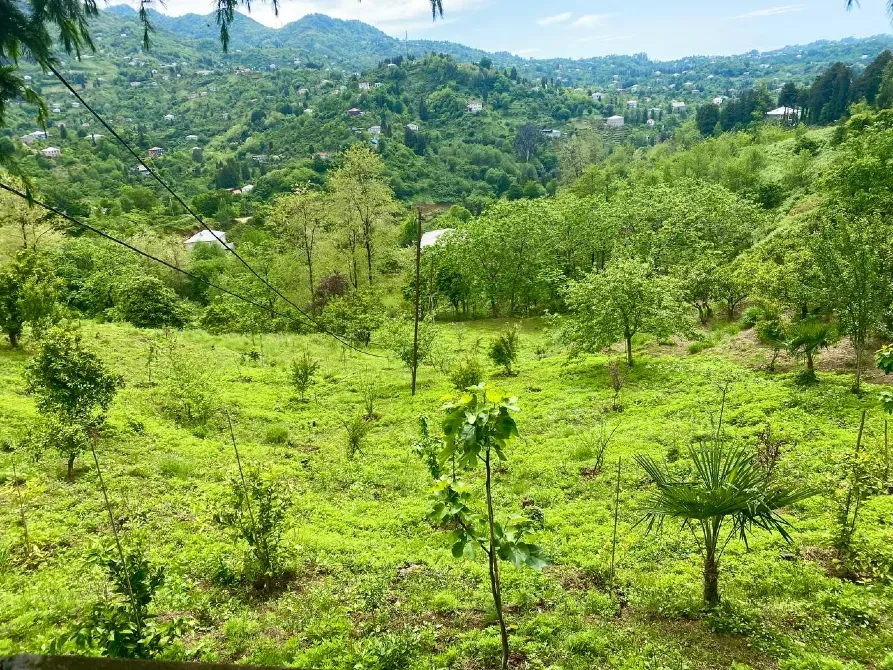 სახლი 3000м² ქობულეთი - photo 3