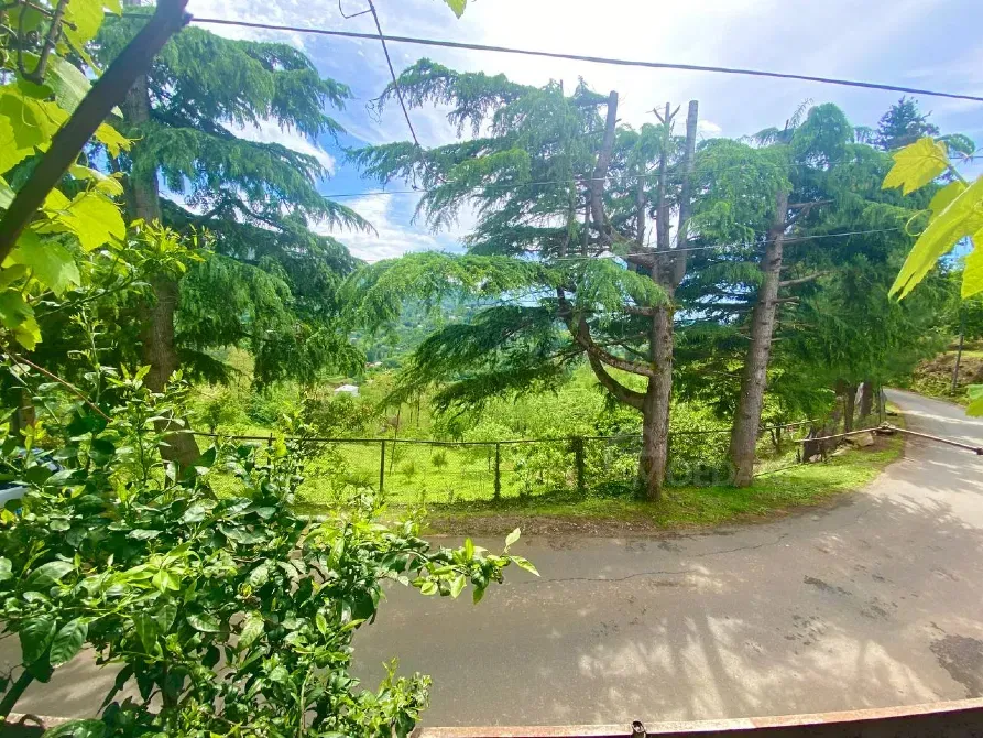 სახლი 3000м² ქობულეთი - photo 4