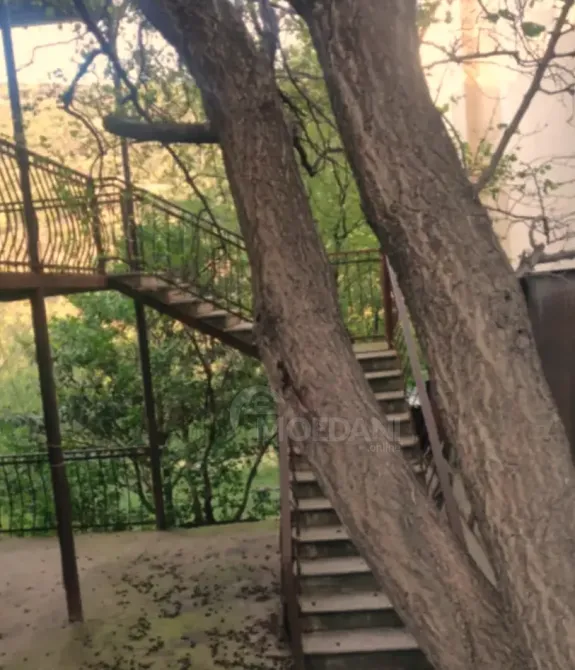 Продам Дом 9000м² Тбилиси - изображение 4