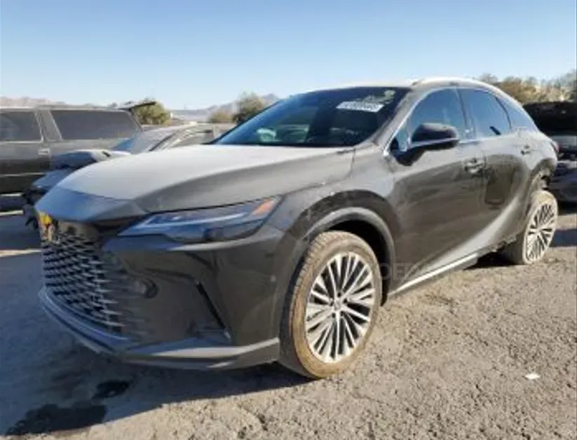 Lexus RX 2024 თბილისი - photo 1