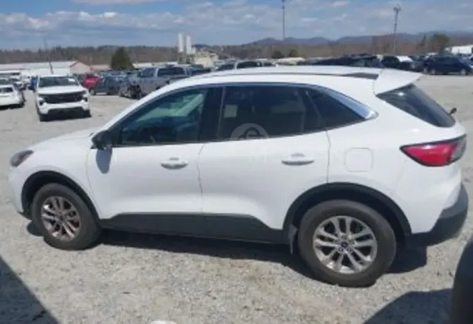 Ford Escape 2022 Tbilisi - photo 4
