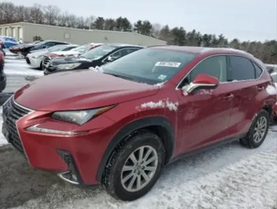 Lexus NX 2021 თბილისი