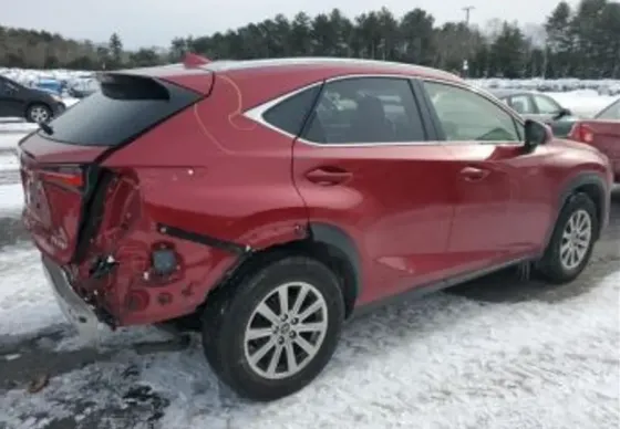 Lexus NX 2021 თბილისი
