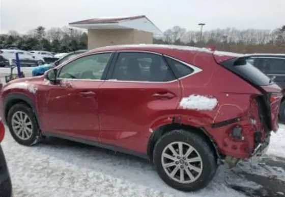 Lexus NX 2021 თბილისი
