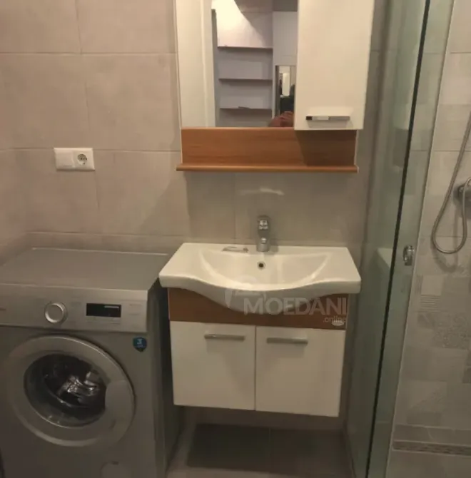 Apartments For Rent two-room 60м² 9/9 floor Tbilisi - photo 4