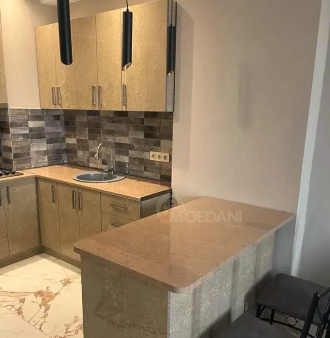 Сдам 2-комн. квартиру 48м² 12/18 эт. Тбилиси - изображение 8