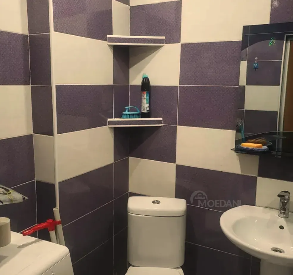 Apartments For Rent two-room 50м² 2/17 floor Tbilisi - photo 9