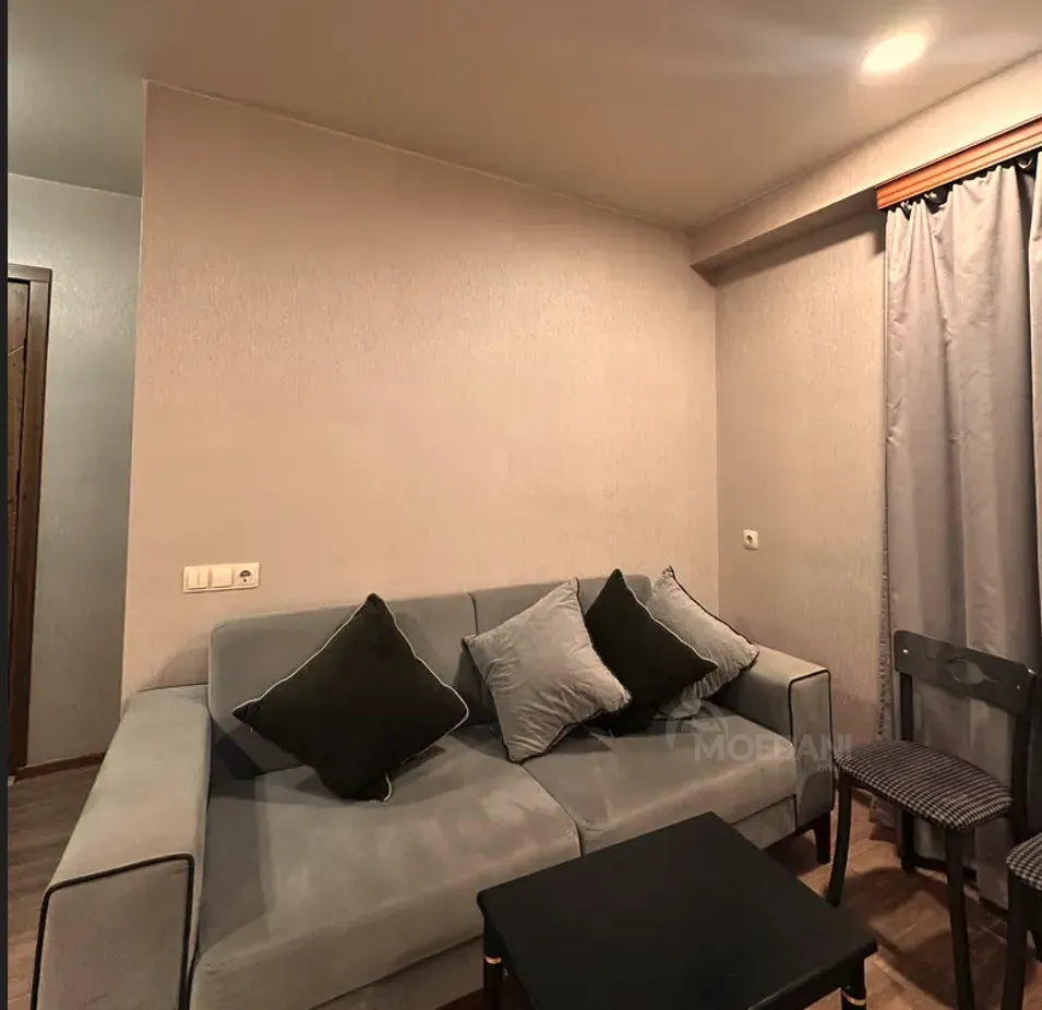 ქირავდება 2 ოთახიანი ბინა 45მ² 4/9 სართ თბილისი - photo 5