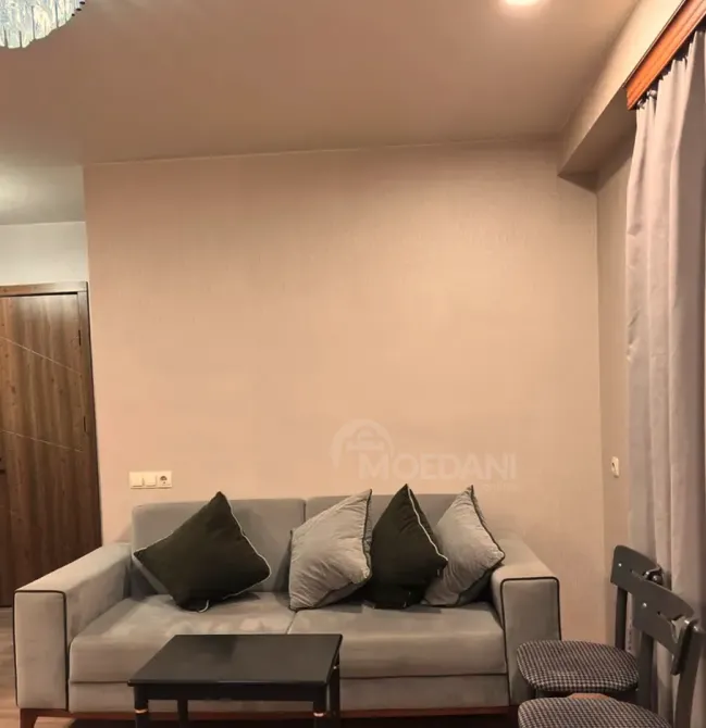 ქირავდება 2 ოთახიანი ბინა 45მ² 4/9 სართ თბილისი - photo 1