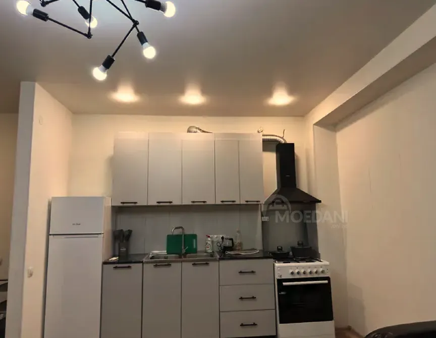 ქირავდება 2 ოთახიანი ბინა 45მ² 6/9 სართ თბილისი - photo 2