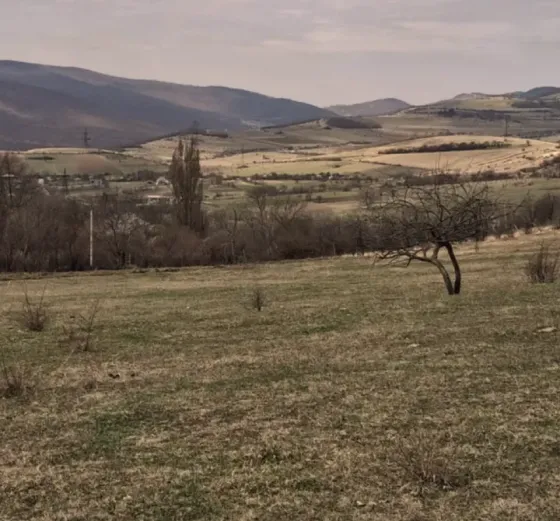 Იყიდება მიწის ნაკვეთი 1180м² Mckheta