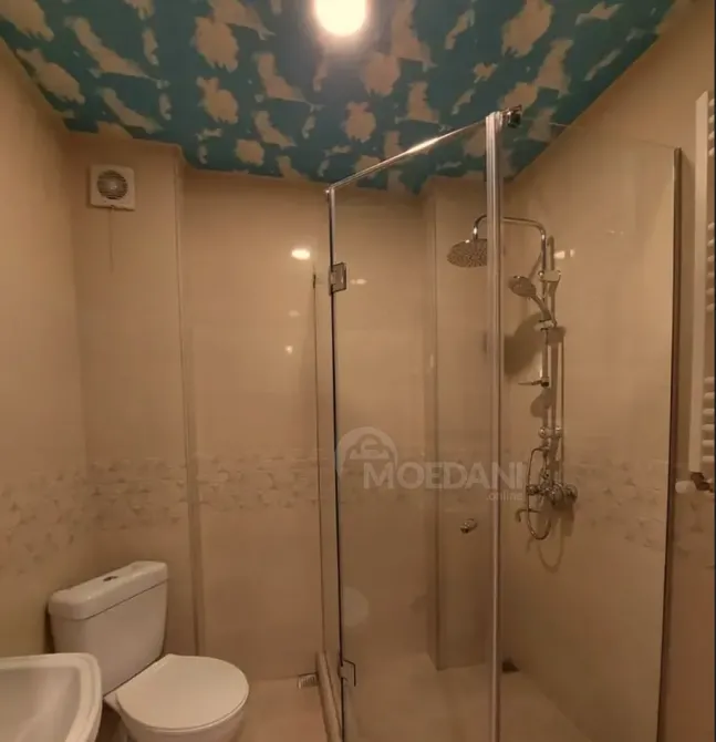 Apartments For Rent two-room 45м² 1/9 floor Tbilisi - photo 9
