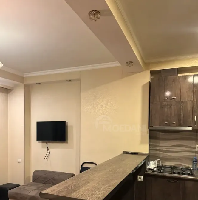 ქირავდება 2 ოთახიანი ბინა 45მ² 4/10 სართ თბილისი - photo 4