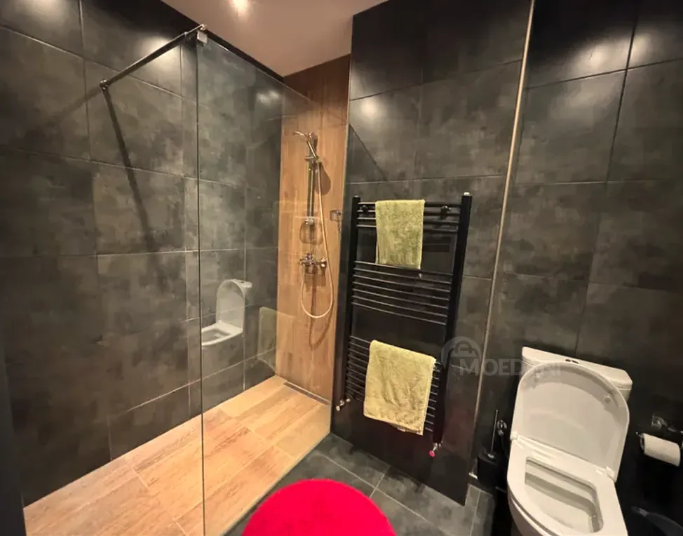 ქირავდება 2 ოთახიანი ბინა 60მ² 9/17 სართ თბილისი - photo 10