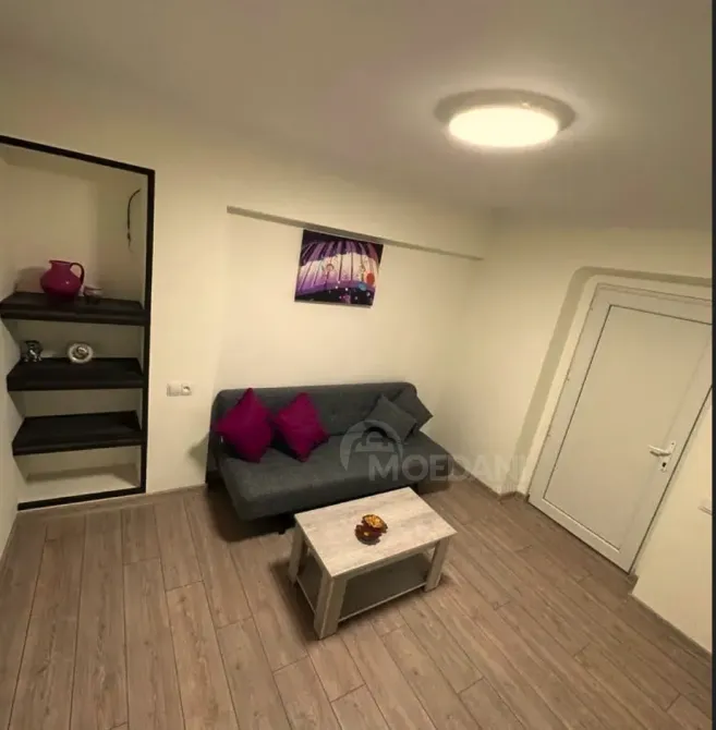 ქირავდება 2 ოთახიანი ბინა 45მ² 1/3 სართ თბილისი - photo 3