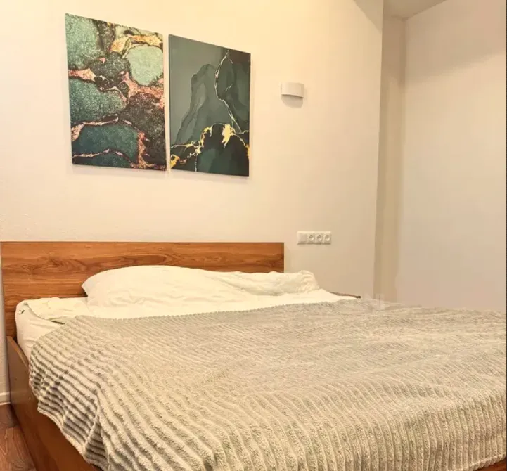 Сдам 2-комн. квартиру 58м² 15/16 эт. Тбилиси - изображение 8