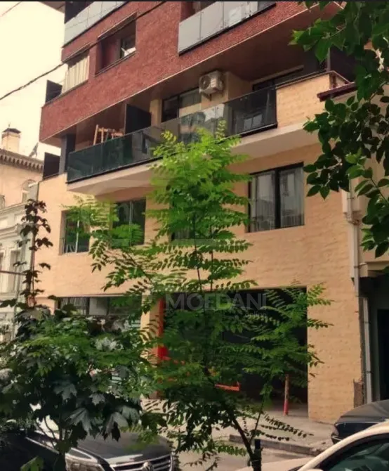 ქირავდება 2 ოთახიანი ბინა 50მ² 2/9 სართ თბილისი - photo 4