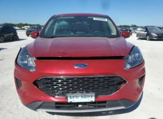 Ford Escape 2020 Тбилиси