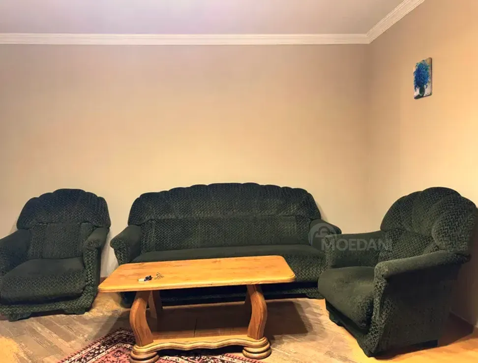 Apartments For Rent two-room 55м² 9/9 floor Tbilisi - photo 11