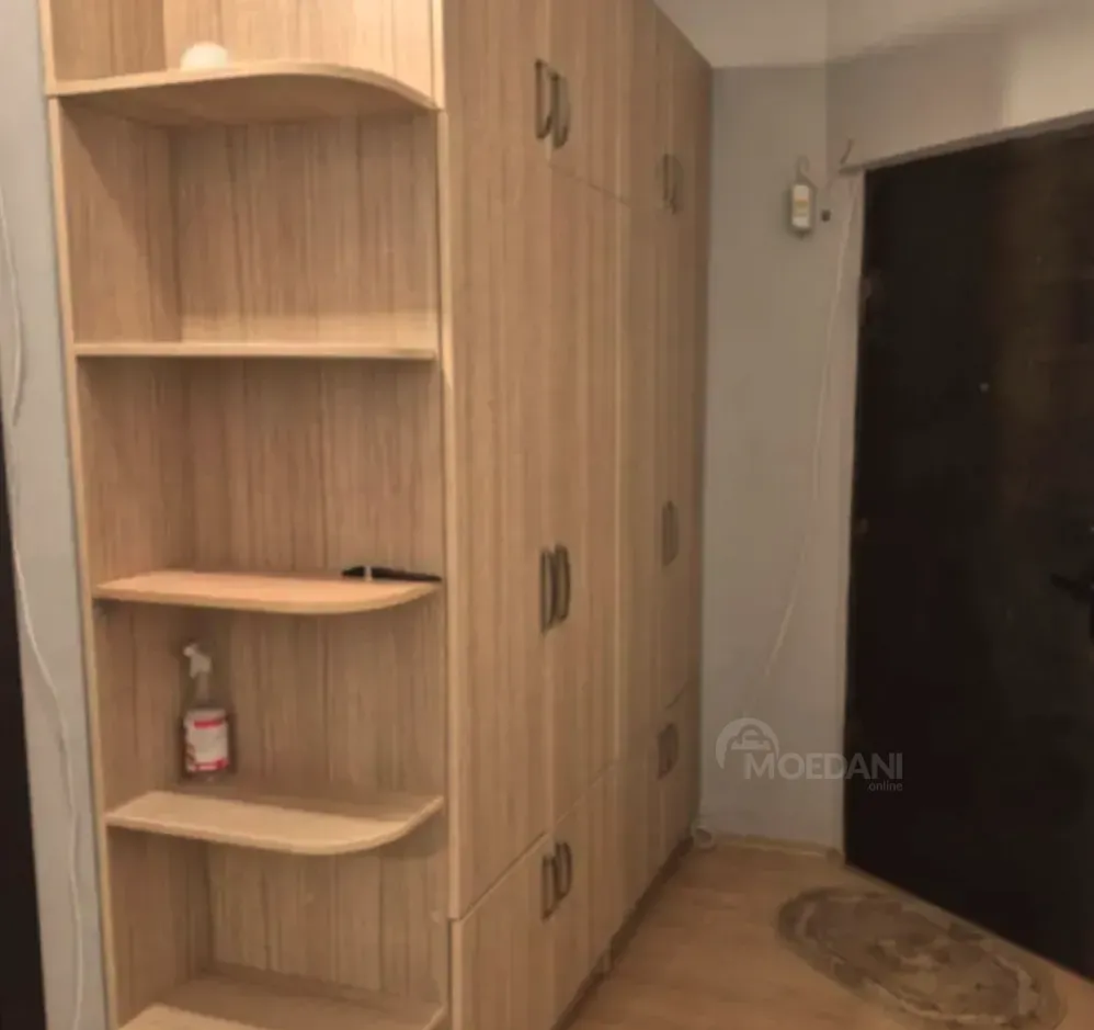 Apartments For Rent two-room 45м² 16/16 floor Tbilisi - photo 8