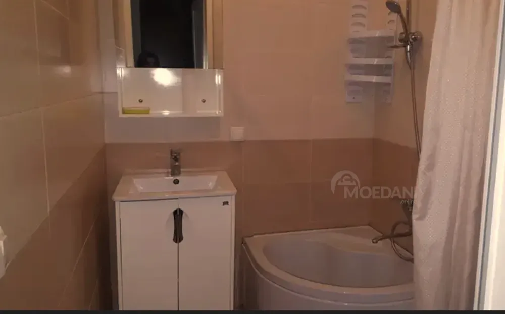 ქირავდება 1 ოთახიანი ბინა 33მ² 2/9 სართ თბილისი - photo 3