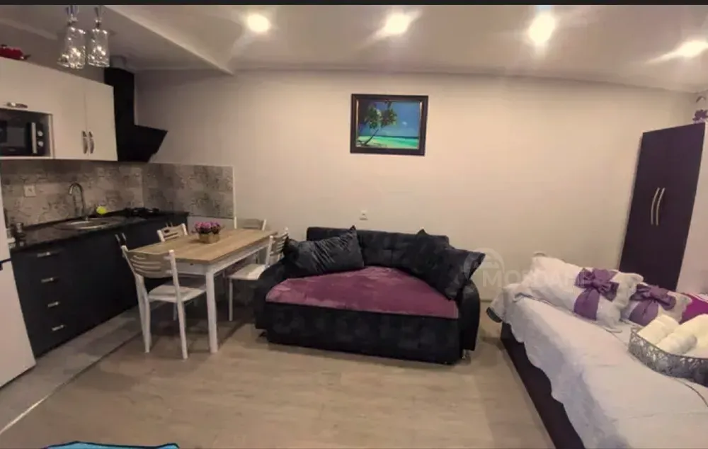 ქირავდება 1 ოთახიანი ბინა 30მ² 1/1 სართ თბილისი - photo 4