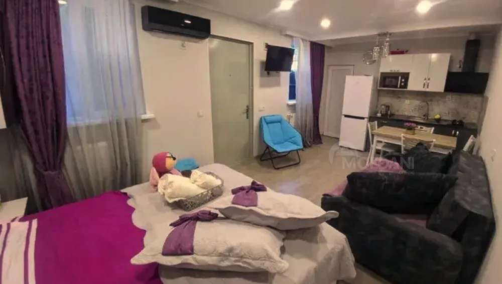 ქირავდება 1 ოთახიანი ბინა 30მ² 1/1 სართ თბილისი - photo 7